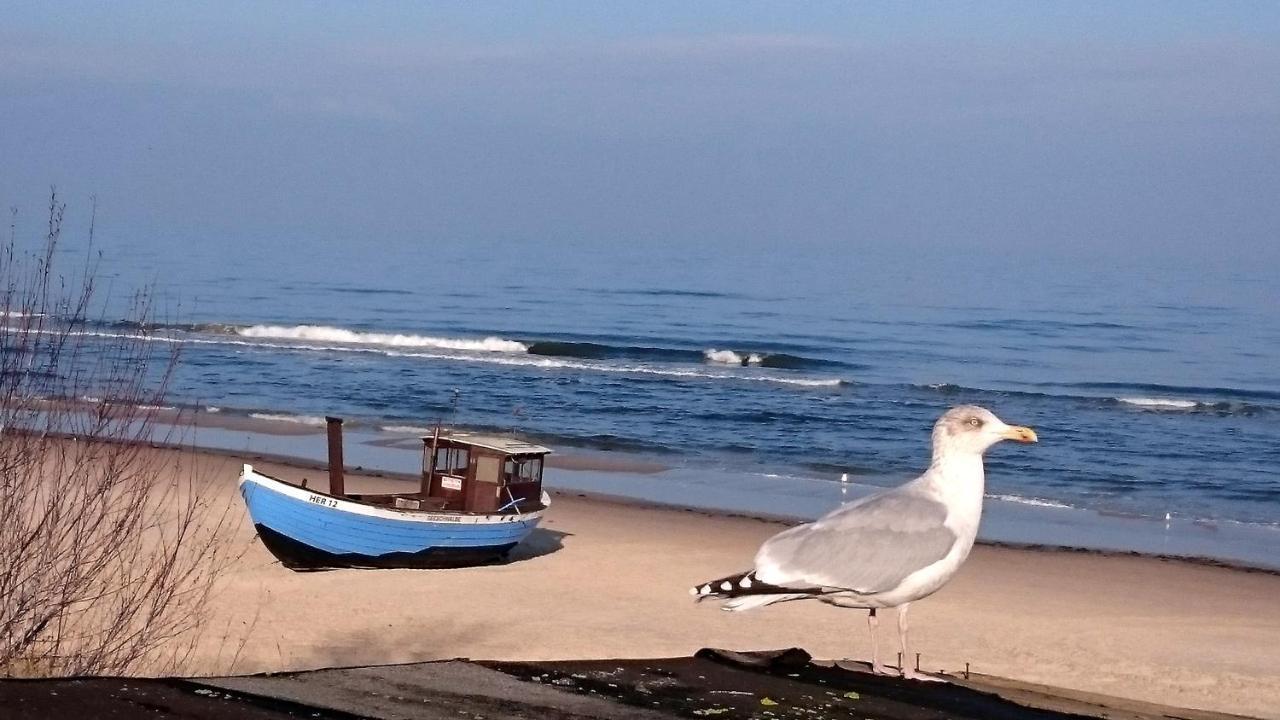 Ferienwohnung Froehling - 90 M Zum Strand Heringsdorf  Bagian luar foto